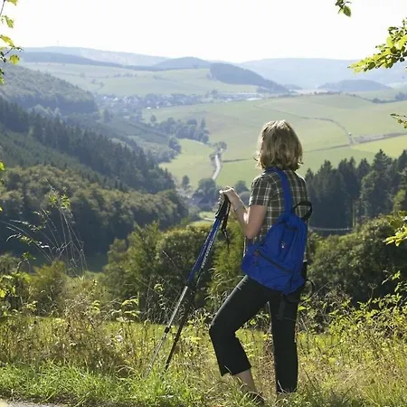 Williaduct Modern Retreat Willingen (Upland)